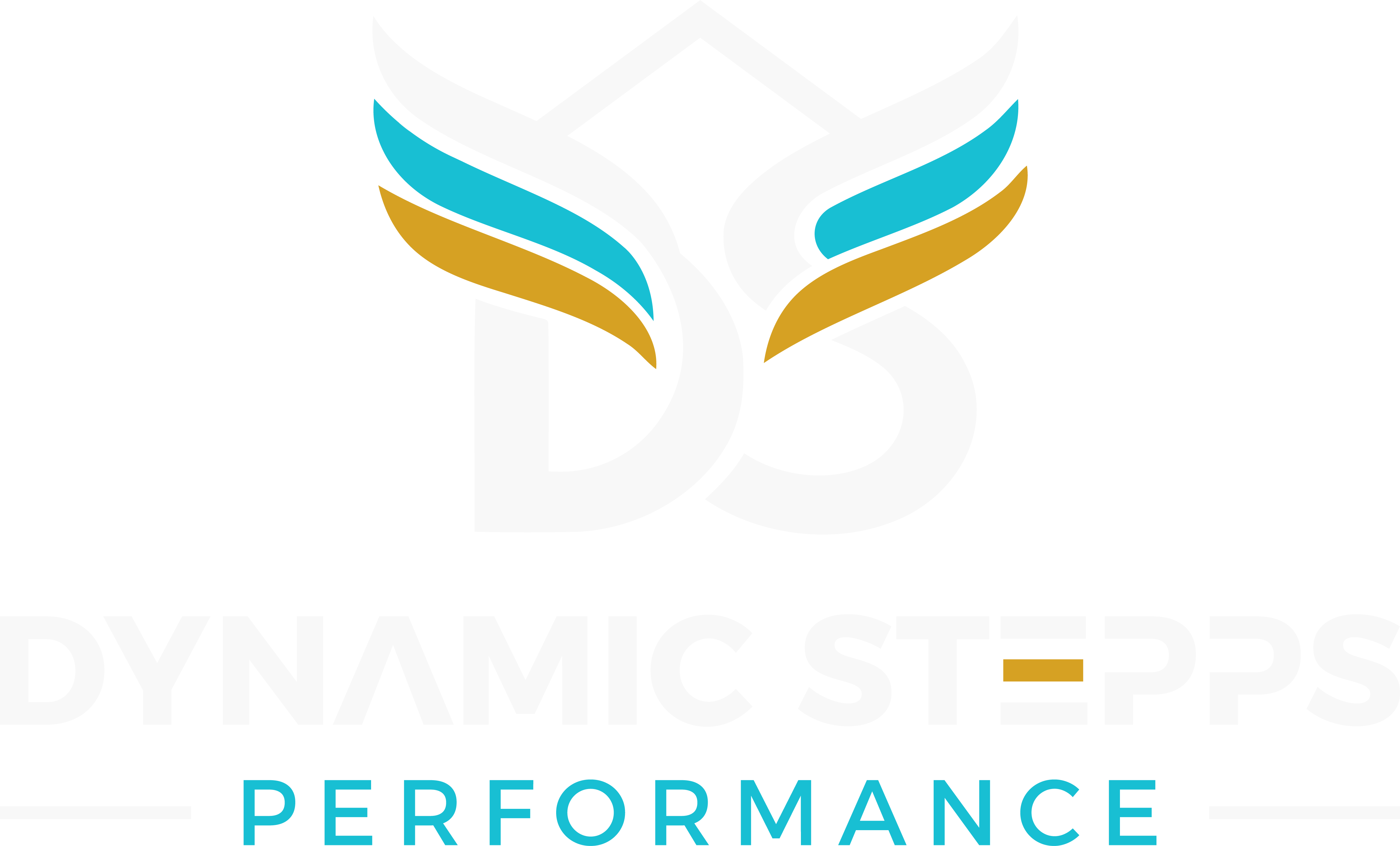 Dynamic Stepps logo